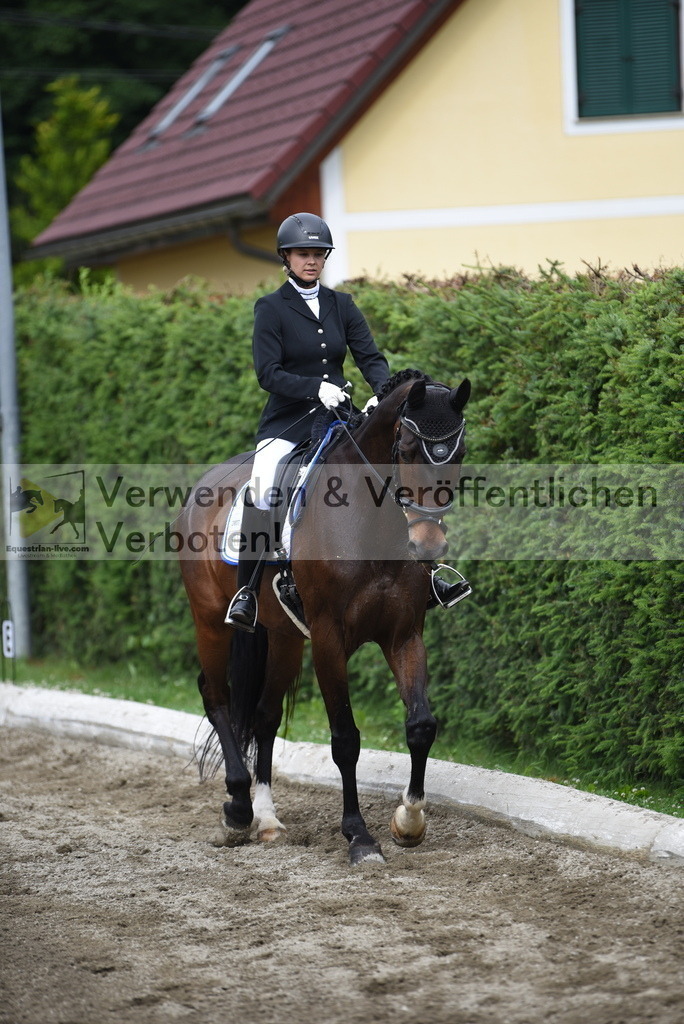 DSC_4386 | equestrian-live-com