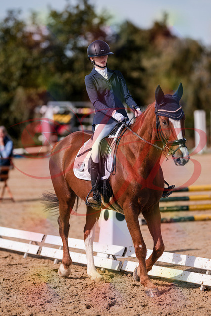 2026_10_03_Siefer-Hof_132738_Z81_82430384 | Professionelle Reitsport-, Turnier- und Eventfotografie von Robert Broda. Galerien mit ausgewählten und bearbeiteten Bildern direkt online ansehen und bestellen.