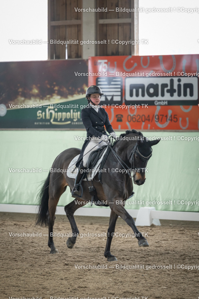 _D5A5214 | Emotionale Pferde- & People-Fotografie rund um Heidelberg, Leimen & Umgebung. Natürliche Fotos von Pferd, Mensch & Familie. Jetzt Termin sichern!