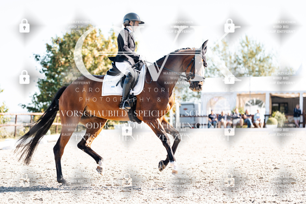 CK908635 | Turnierfotografie Pferdefotografie Trier Rheinland-Pfalz Pferdesport Reitsport Tierfotografie Sportfotografie Pferdevideo Pferdevideografie Equestrianvideography equestrianphotography  - Realisiert mit Pictrs.com