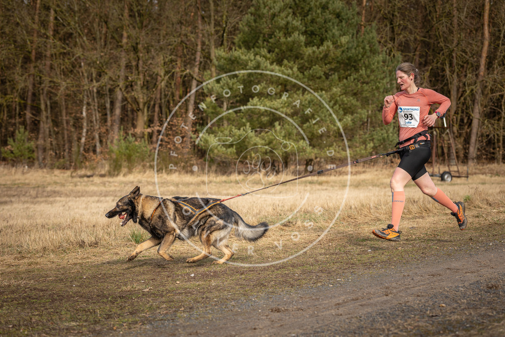 DV3A4003 | Hundefotografie, Tierfotograf, Pfotenfotografie, Fotoshooting Hund, Hunde Portrait, Hundesport, Hundeportraits, Heideshooting, Hunde, Sportfotograf, Hundefotograf, Turnierhundsport, THS,  - Realisiert mit Pictrs.com