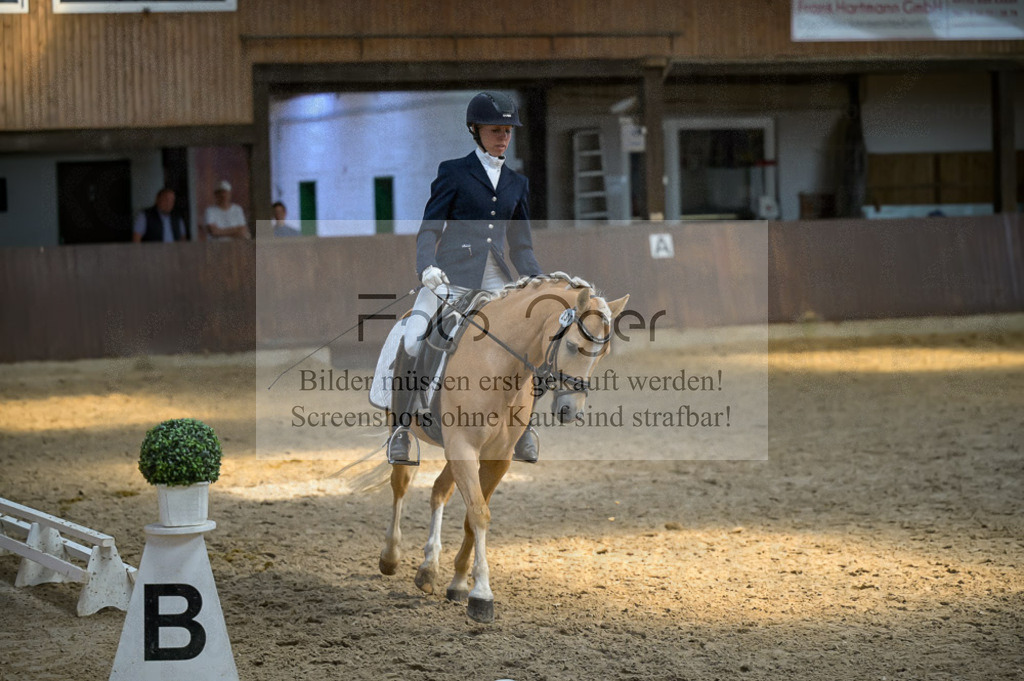 Reitturnier Voxtrup | Entdecke hochwertige Reitturnierfotos von Foto Oger. Professionell, emotional und authentisch – jetzt Lieblingsmomente im Shop bestellen.Deutschlandweite Turnierfotografie. - Realisiert mit Pictrs.com