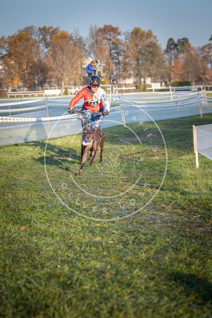 CaniXpix_0L8A3507 | Hundefotografie, Tierfotograf, Pfotenfotografie, Fotoshooting Hund, Hunde Portrait, Hundesport, Hundeportraits, Heideshooting, Hunde, Sportfotograf, Hundefotograf, Turnierhundsport, THS,  - Realisiert mit Pictrs.com