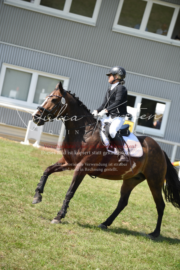 DSC_0068 | Pferde- und Turnierfotografie in Westsachsen. Pferdeportraits, Auftragszeichnungen und intuitive Kunst.