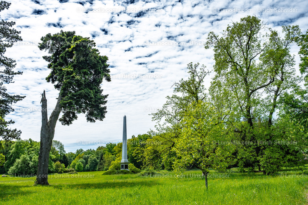 10049-14063 - Landschaftspark Degenershausen | Stockfoto und Bilderpool mit Bildmaterial aus Deutschland, dem Harz, Halberstadt, Quedlinburg, Wernigerode und weltweit. Qualitativ hochwertige und professionelle Fotos anschauen und kaufen. - Realisiert mit Pictrs.com