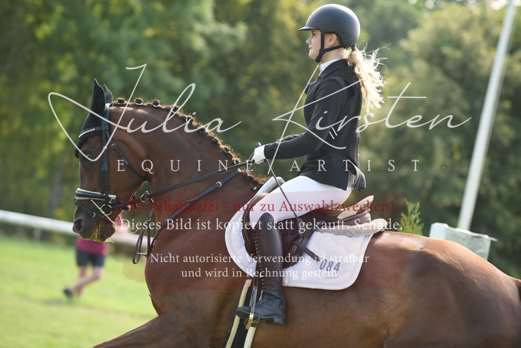DSC_9168 | Pferde- und Turnierfotografie in Westsachsen. Pferdeportraits, Auftragszeichnungen und intuitive Kunst.