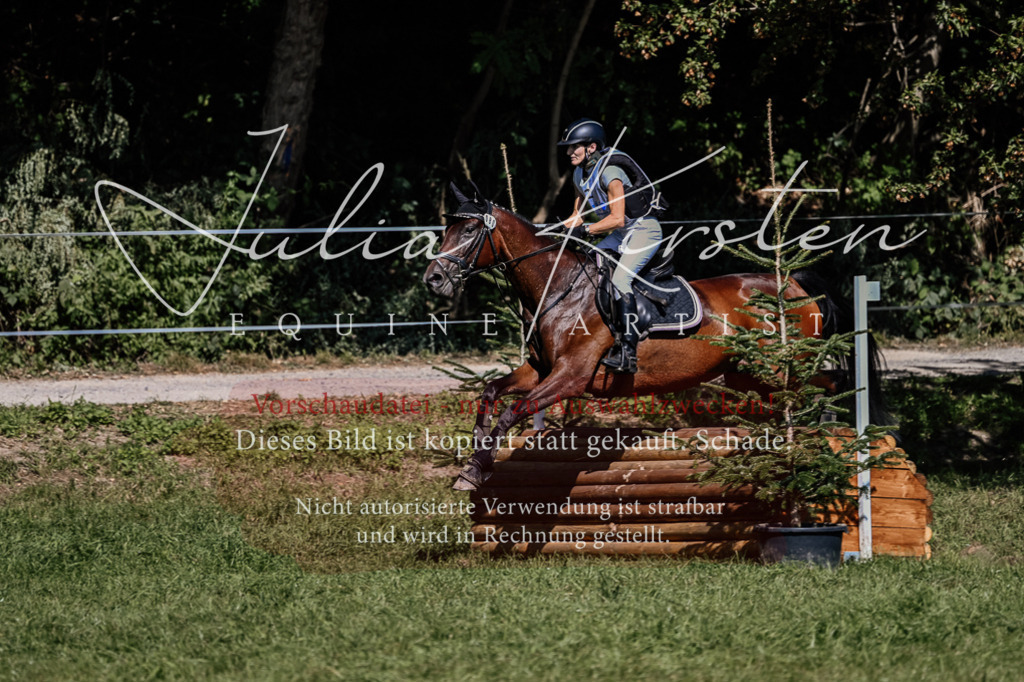 DSC_1734 | Pferde- und Turnierfotografie in Westsachsen. Pferdeportraits, Auftragszeichnungen und intuitive Kunst.