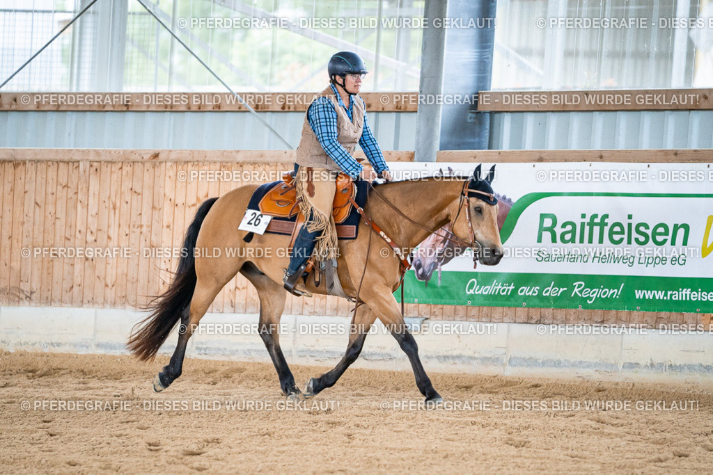 DSC08230 | Pferdegrafie