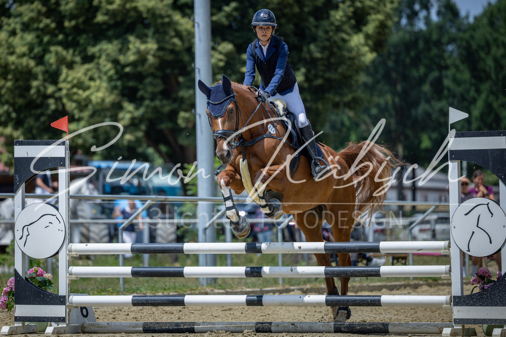 20260704-_3LI8924 | Tierfotografie Pferde, Hunde, Katzen, Haustiere.
Turnierfotografie Reitturniere, Reiten, Springreiten, Dressur in Hanau, dem Main-Kinzig-Kreis und dem Rhein-Main- Gebiet um Frankfurt