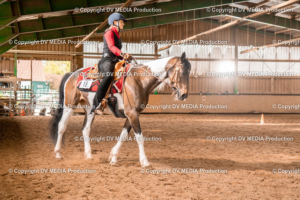 BAL02103 | dv-media-shop - Realisiert mit Pictrs.com