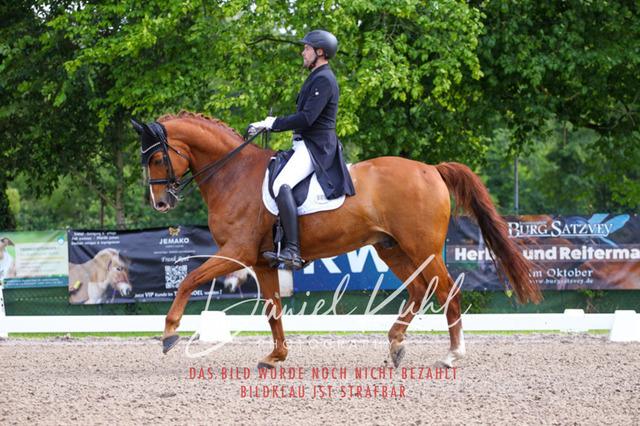 DKP41287 | Turnierfotos kaufen im Webshop von Daniel Kuhl Photography – entdecke professionelle Reitsportfotos aus Turnieren & Events. Hochwertige Turnierbilder online bestellen & sichern. Jetzt Fotos von Reitsportturnieren kaufen!
