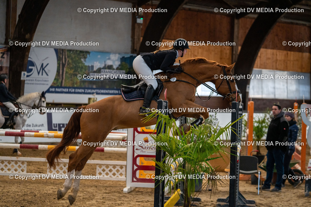 Kranichstein Tag 2-038 | dv-media-shop - Realisiert mit Pictrs.com