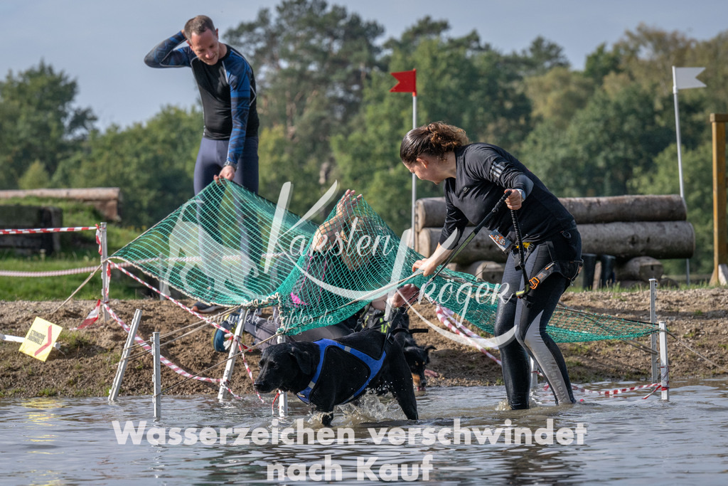 1153_ZZ94527 | kk-dogfotos