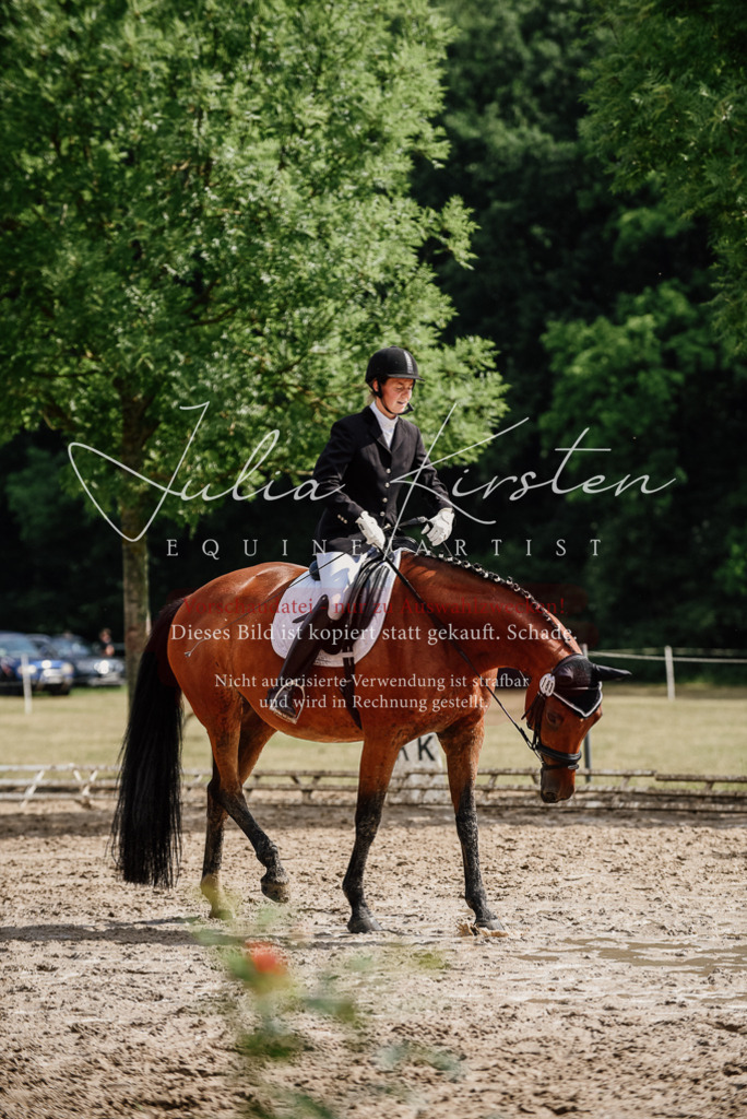 DSC_9805 | Pferde- und Turnierfotografie in Westsachsen. Pferdeportraits, Auftragszeichnungen und intuitive Kunst.