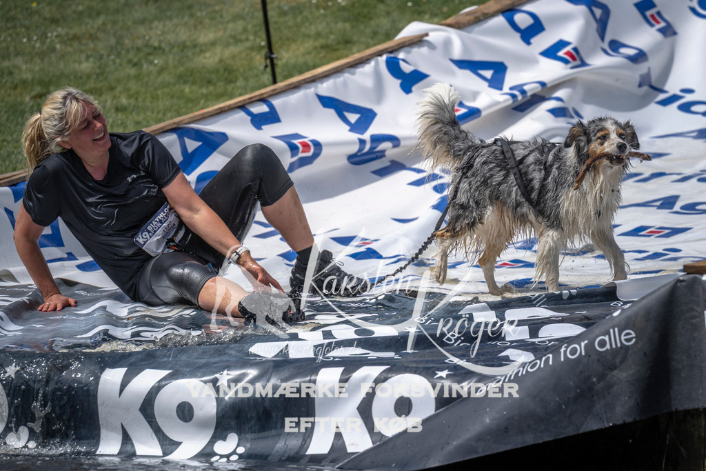 1252_ZZ99234 | kk-dogfotos