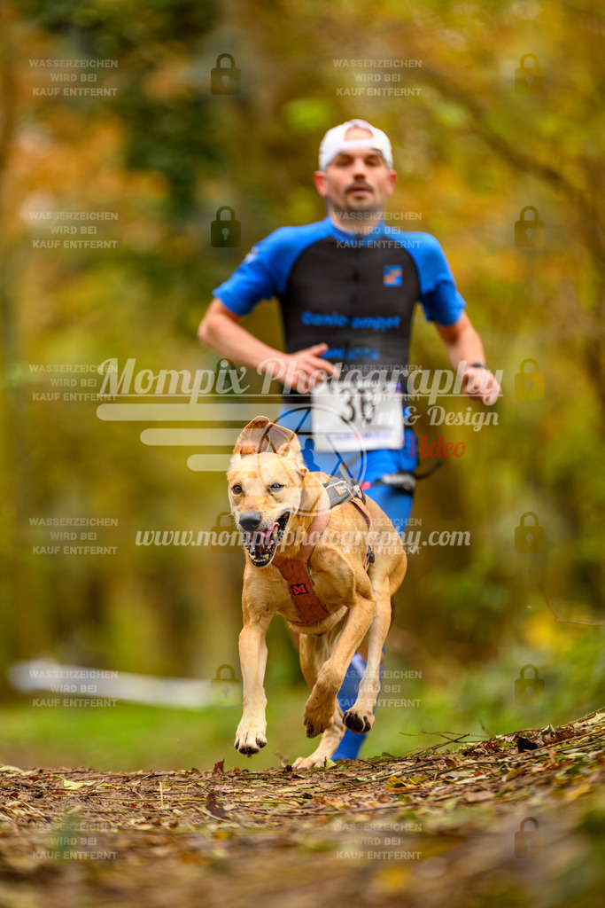 MompixPhotography_Bischwiller24_SA_Canicross-15 | PayLife