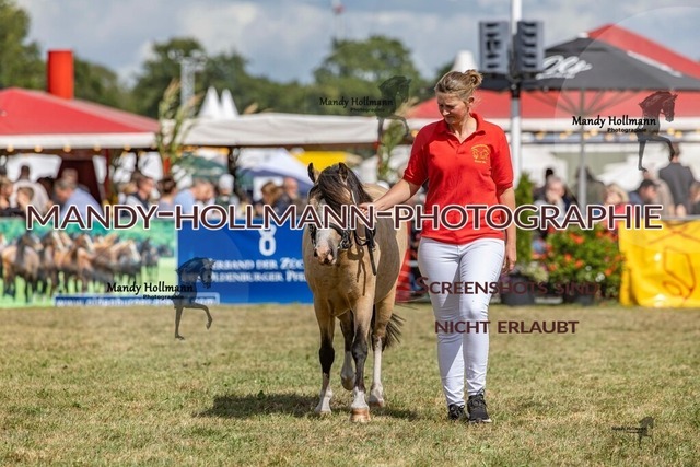Wel (96 von 433) | mandyhollmannphotographie