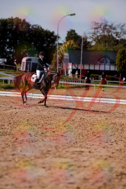 2026_10_03_Siefer-Hof_125735_Z81_46076748 | Professionelle Reitsport-, Turnier- und Eventfotografie von Robert Broda. Galerien mit ausgewählten und bearbeiteten Bildern direkt online ansehen und bestellen.