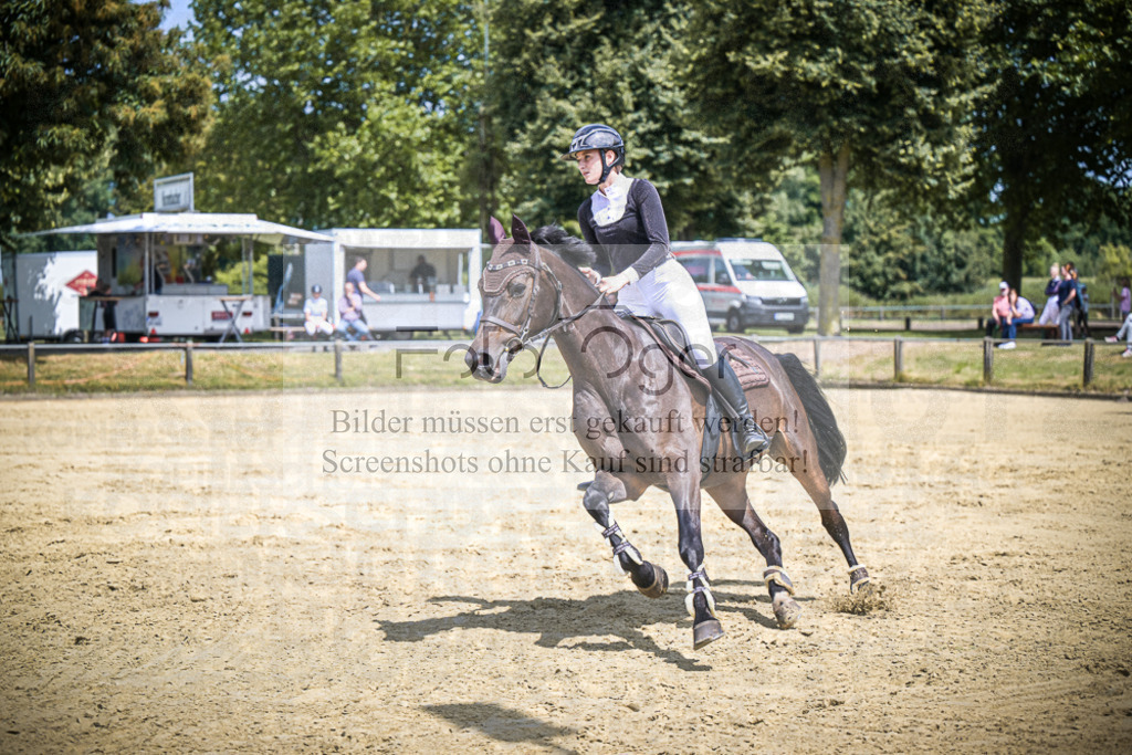 DOS_9811 | Entdecke hochwertige Reitturnierfotos von Foto Oger. Professionell, emotional und authentisch – jetzt Lieblingsmomente im Shop bestellen.Deutschlandweite Turnierfotografie. - Realisiert mit Pictrs.com