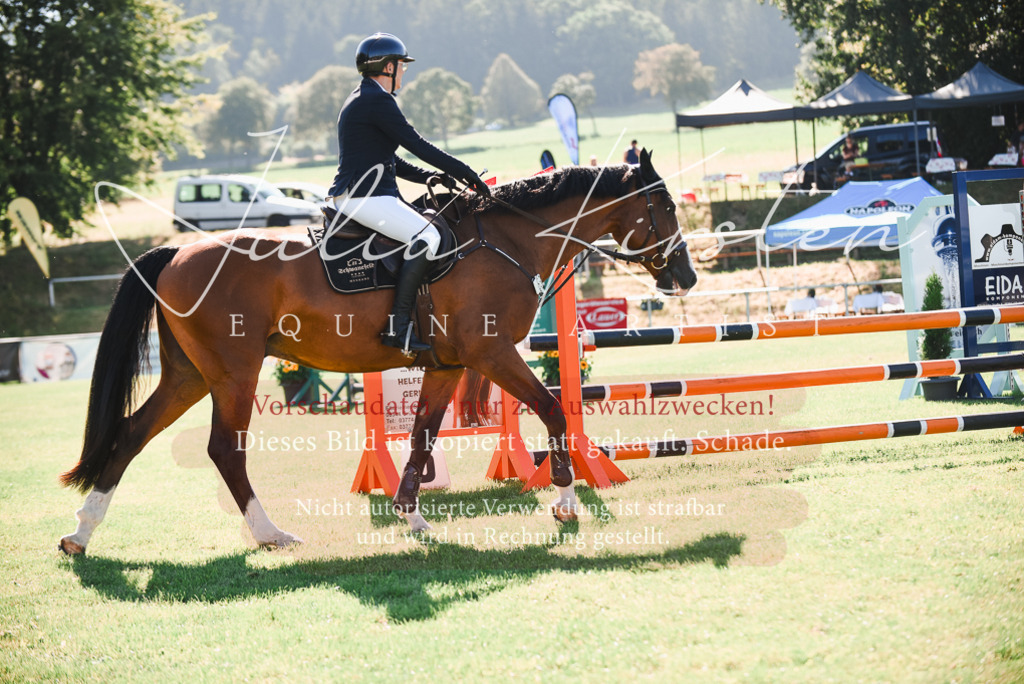 DSC_2475 | Pferde- und Turnierfotografie in Westsachsen. Pferdeportraits, Auftragszeichnungen und intuitive Kunst.