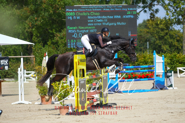 Gut Blee25_Amateuer Stilsprpfg Kl L_0232 | Turniersportfotografie; Pferdefotografie; Dressurfotografie