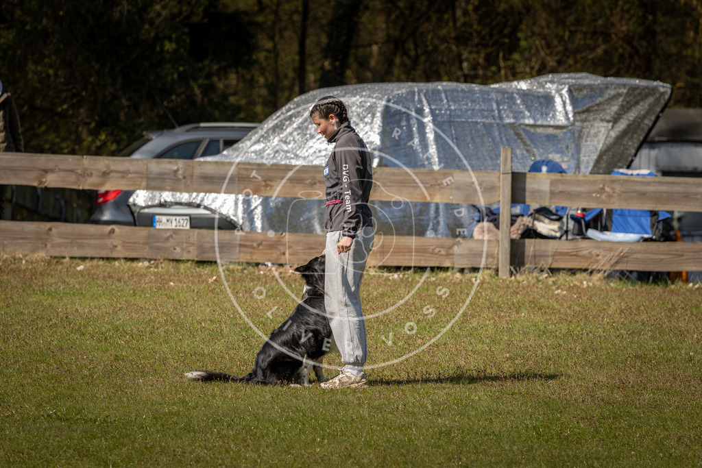 Pfotenfotografie_DV3A1123 | Hundefotografie, Tierfotograf, Pfotenfotografie, Fotoshooting Hund, Hunde Portrait, Hundesport, Hundeportraits, Heideshooting, Hunde, Sportfotograf, Hundefotograf, Turnierhundsport, THS,  - Realisiert mit Pictrs.com
