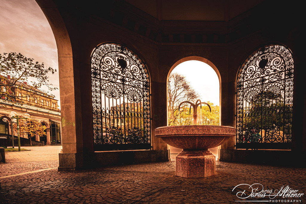 IMG_5242 | Fotografien, Fotos und Bilder aus Mainz, Frankfurt, Wiesbaden und anderen Orten auf der Welt - Fotografiert von Darius Metzner