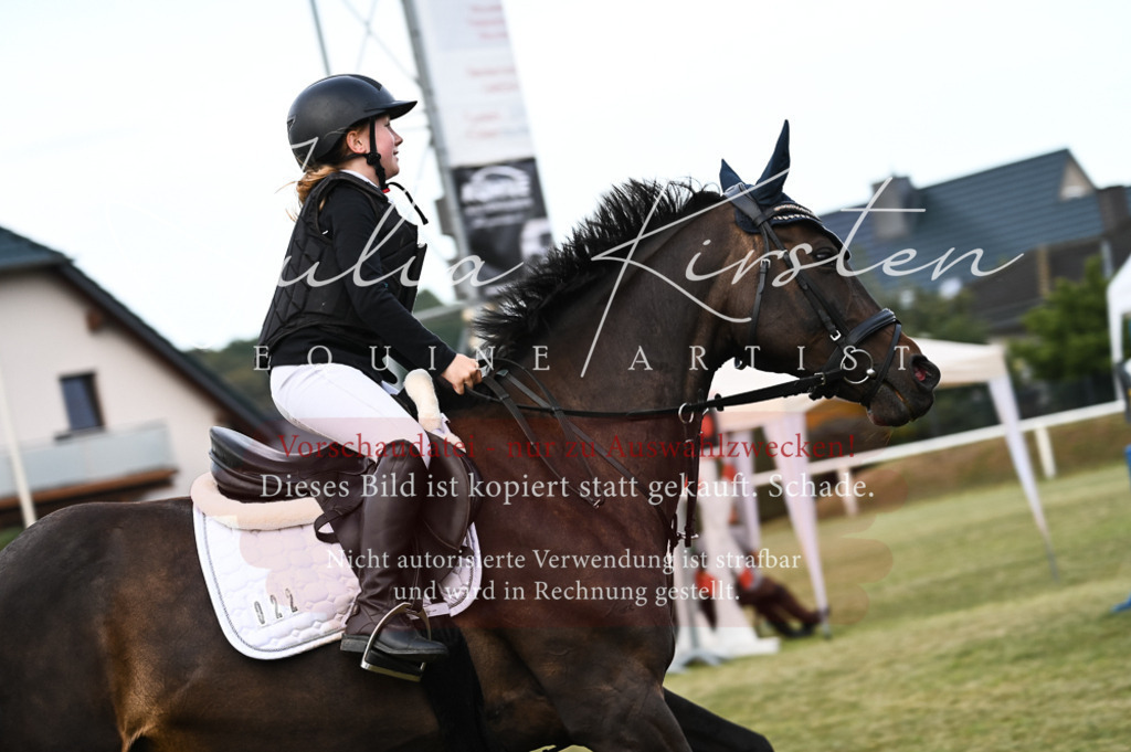 DSC_5599 | Pferde- und Turnierfotografie in Westsachsen. Pferdeportraits, Auftragszeichnungen und intuitive Kunst.