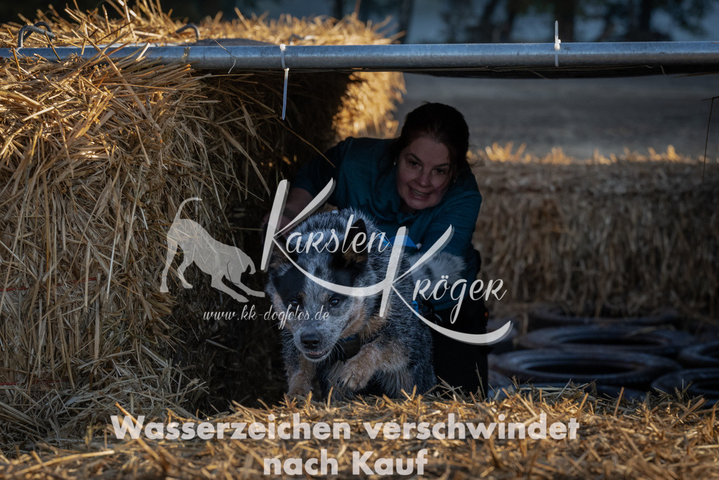 0914_ZZ92147 | kk-dogfotos