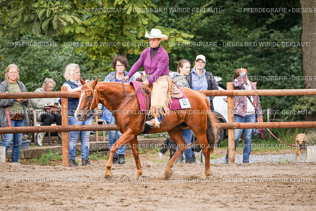 DSC08548 | Pferdegrafie