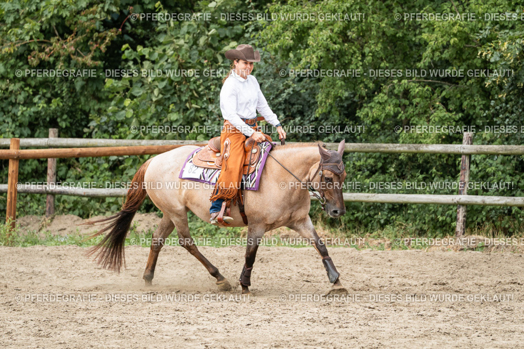 DSC02494 | Pferdegrafie