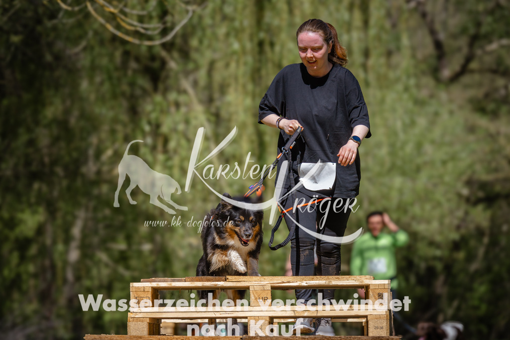 1245_ZZ94259 | kk-dogfotos