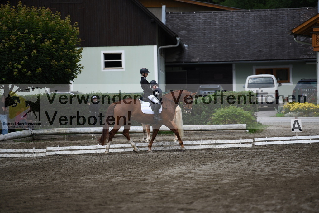 DSC_5117 | equestrian-live-com