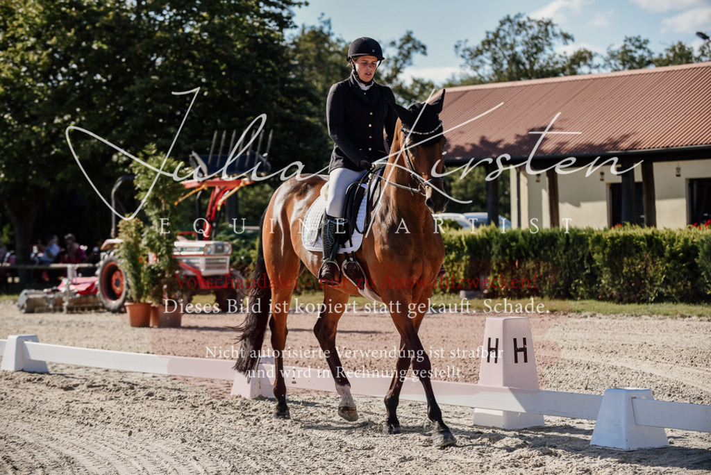 DSC_0294 | Pferde- und Turnierfotografie in Westsachsen. Pferdeportraits, Auftragszeichnungen und intuitive Kunst.