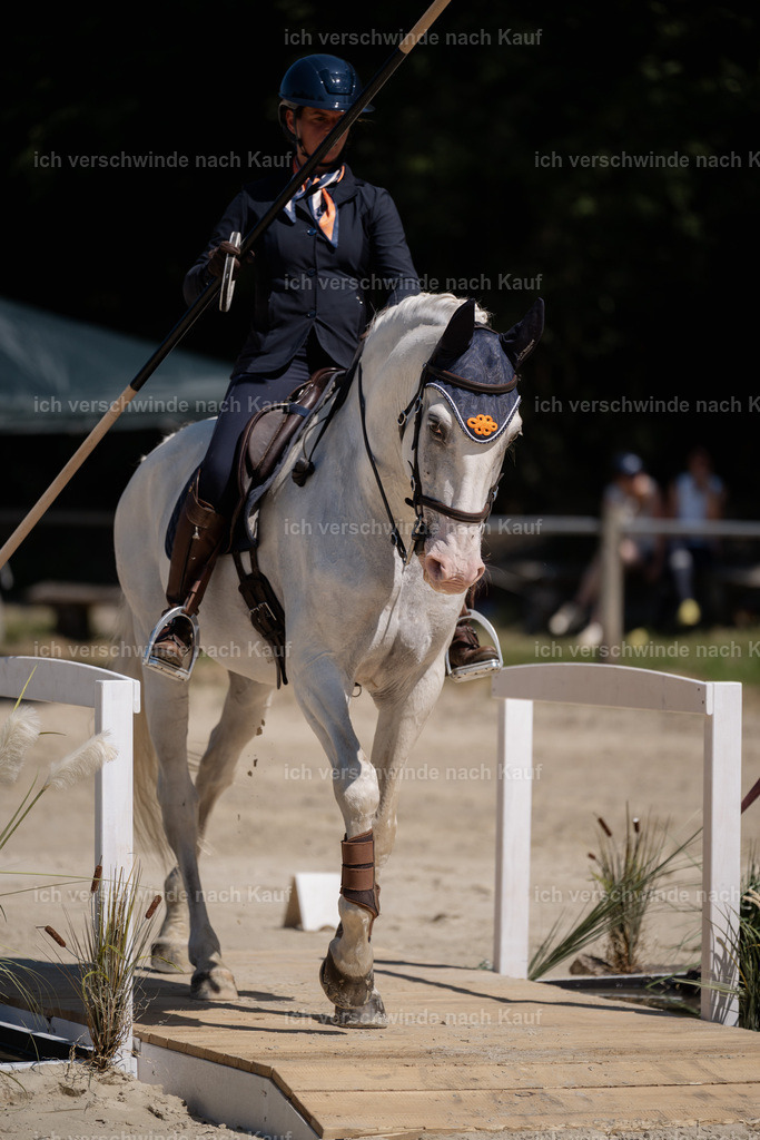 WS_ST_52_stoibphotography_SO11390 | working equitationturnier fotograf videograf stoibphotography marixx film working equitation deutschland reitsport turnierfotografie eventfotografie equestrian events