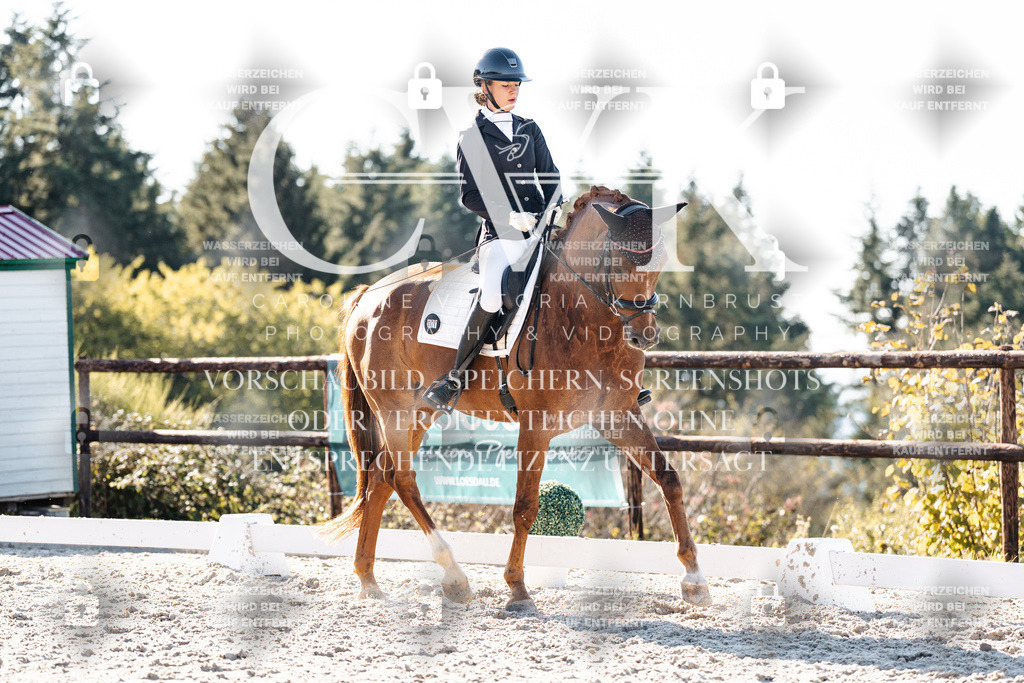 CK906636 | Turnierfotografie Pferdefotografie Trier Rheinland-Pfalz Pferdesport Reitsport Tierfotografie Sportfotografie Pferdevideo Pferdevideografie Equestrianvideography equestrianphotography  - Realisiert mit Pictrs.com