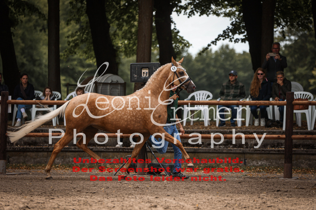 8.So00064 | Leoni Ertmer Photography - Realisiert mit Pictrs.com