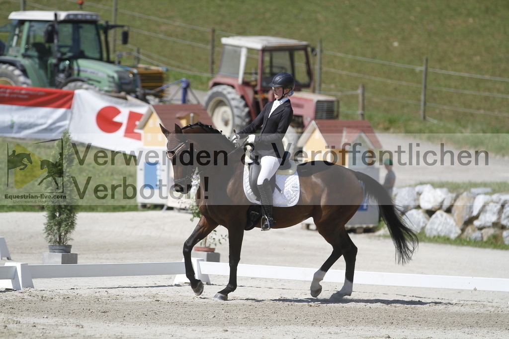 _MG_0531 | equestrian-live-com
