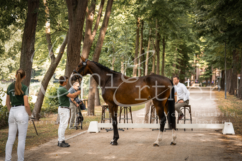 FrPfM00010 | Leoni Ertmer Photography - Realisiert mit Pictrs.com