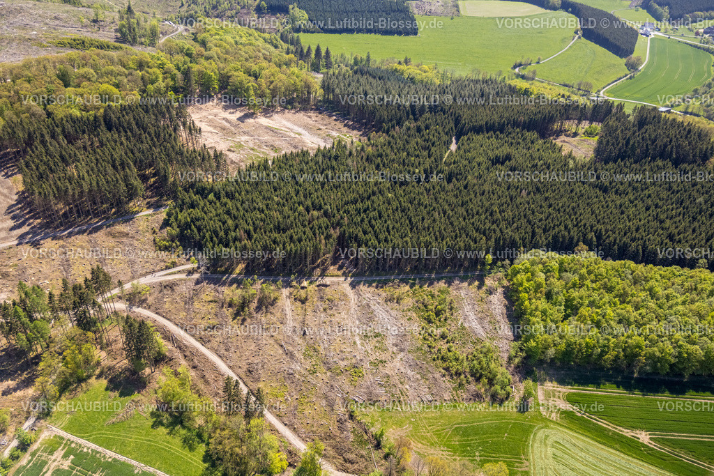 Eslohe230505789 | Luftbild, Waldsterben, Waldgebiet mit Waldschäden, Böttenberg, Eslohe, Sauerland, Nordrhein-Westfalen, Deutschland