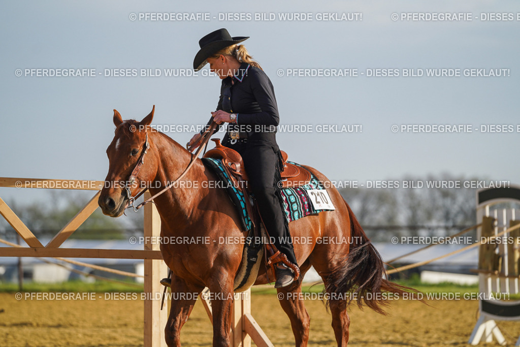 DSC00168 | Pferdegrafie