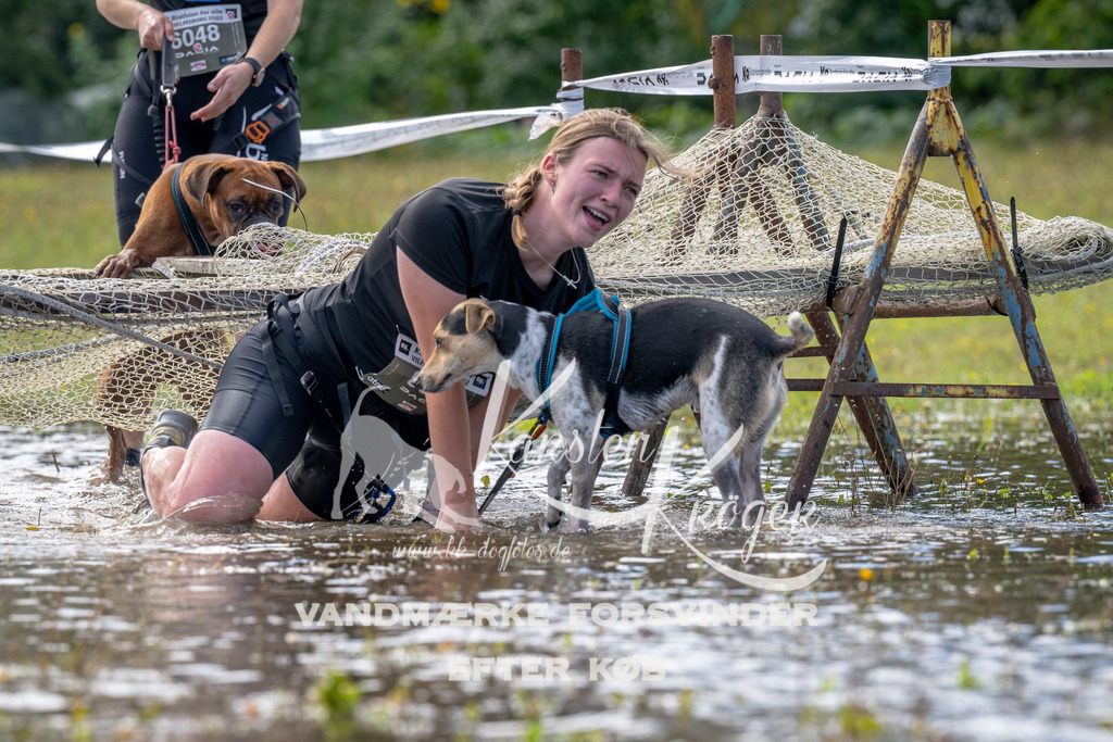 1223_ZZ94172 | kk-dogfotos