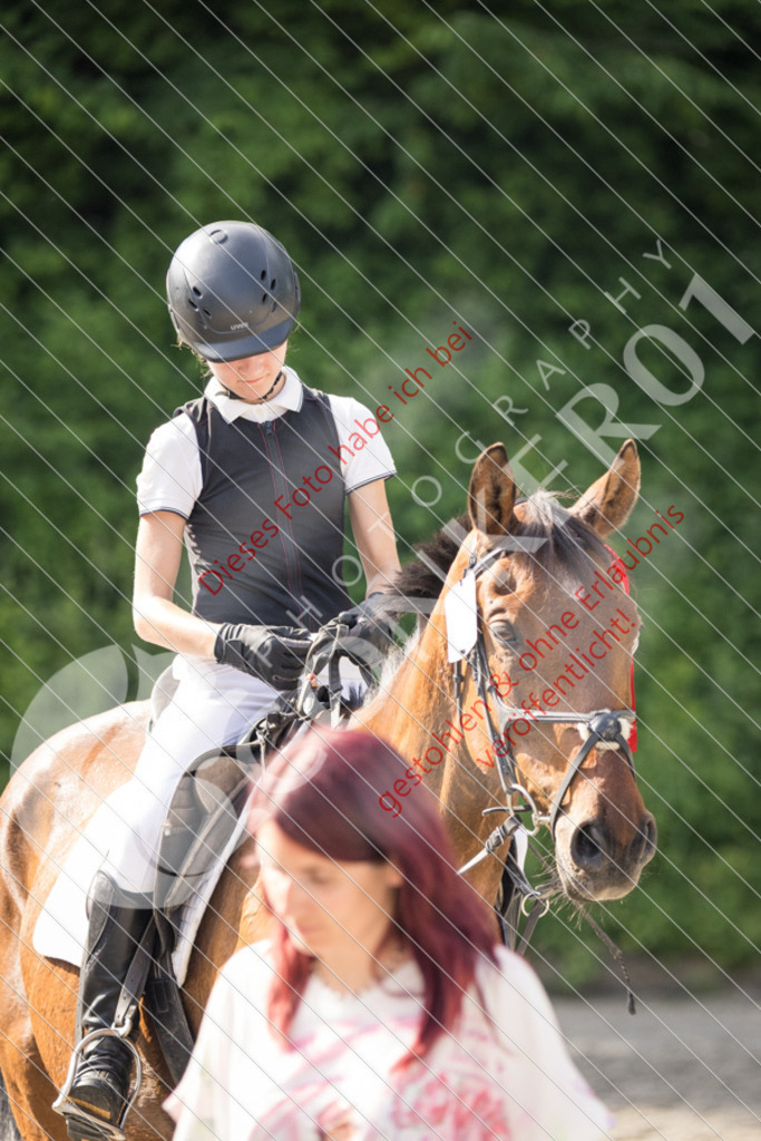 IMG_6094 | Sport-, Event- und Tierfotos in Profiqualität. Einfach auswählen, bestellen und herunterladen. Dein Moment – perfekt festgehalten.