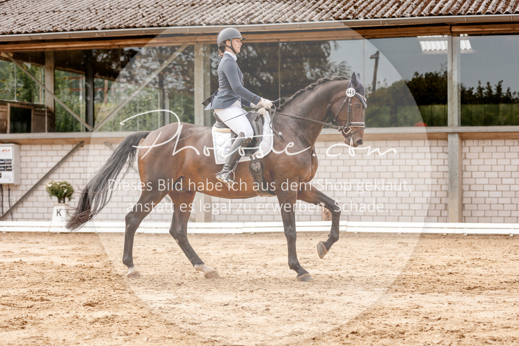 3I6A3648 | Stimmungsvolle Portraits und Reitsportfotografie im Ruhrgebiet und im Münsterland.

Pferdefotografie, Hundefotografie, Tierfotografie, Reportagen, Portraits von Tier und Mensch, Turnierfotografie in Bochum, Recklinghausen, Marl, Haltern am See, Dülmen.. - Realisiert mit Pictrs.com
