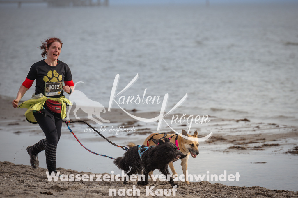 1215_ZZ95653 | kk-dogfotos