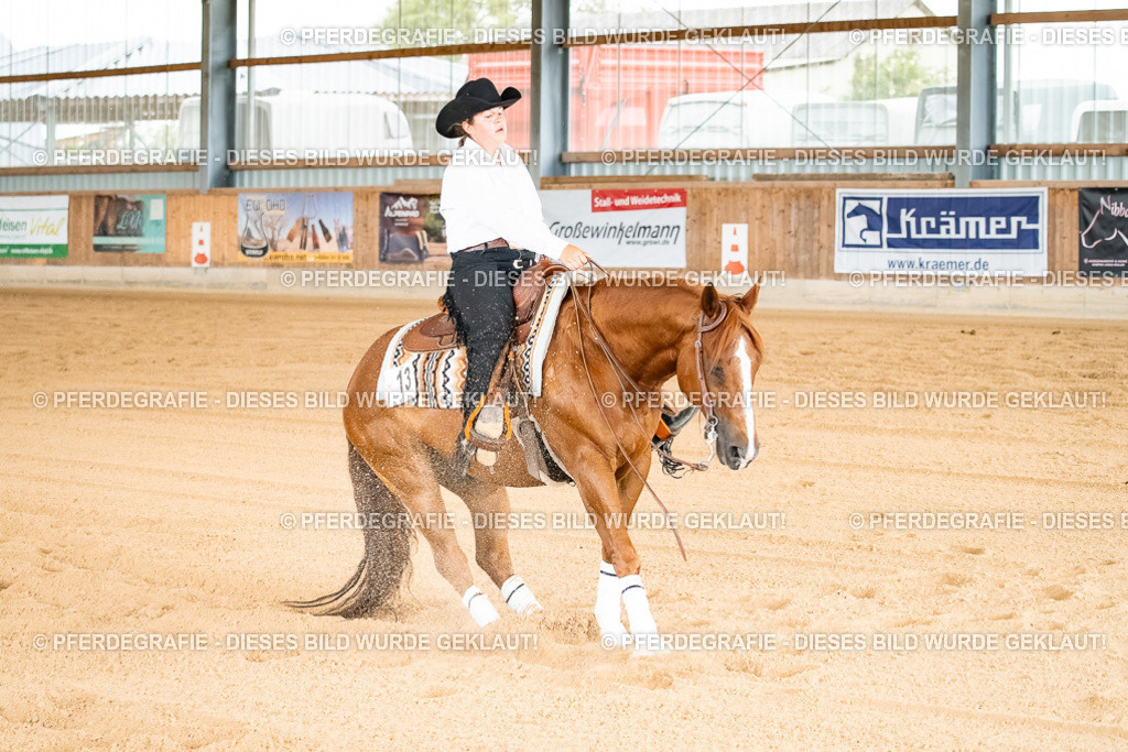 DSC02449 | Pferdegrafie