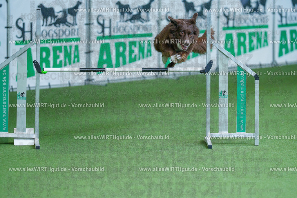 @allesWIRTHgut_Tierfotografie - www.allesWIRTHgut.de - 2604261355-7R502977 | Professionelle Tierfotografie in Mönchengladbach von Daniel Wirth (allesWIRTHgut). Liebevolle & natürliche Bilder von Hunden & Katzen für unvergessliche Erinnerungen.