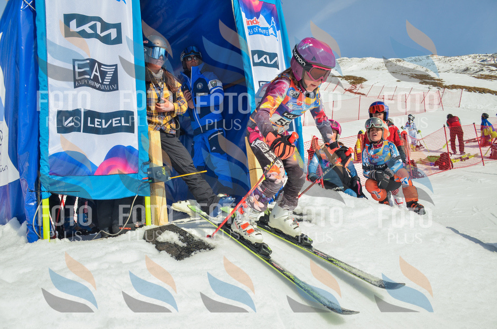 _ELE5285 | holidayphoto