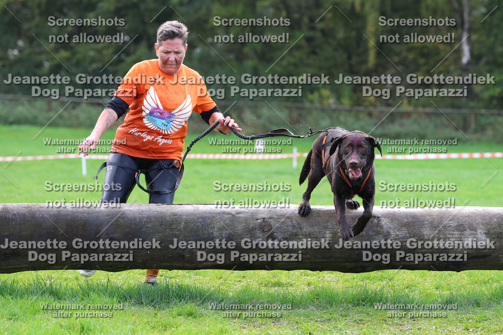Dog Paparazzi -  SD1026-2261 | Dog Paparazzi Jeanette Grottendiek Fotografie & Videografie - Realisiert mit Pictrs.com