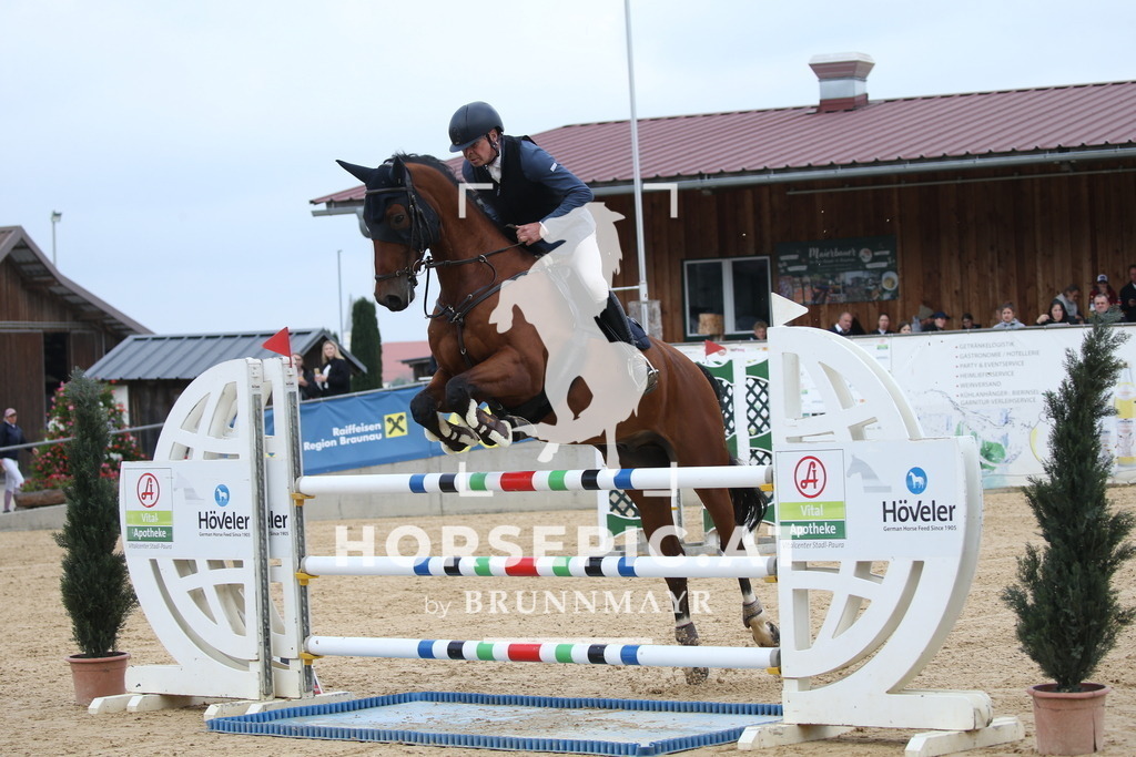 DL2Q4689 | Willkommen bei Brunnmayr - Design & Fotografie – Ihrem Spezialisten für Reitturniere und Pferdeveranstaltungen in Oberösterreich, Salzburg und Bayern! Seit über 17 Jahren sind wir leidenschaftlich dabei.